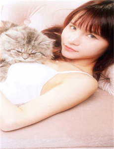 铁拳电影2012