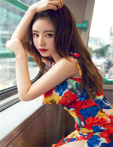大师的菜2019